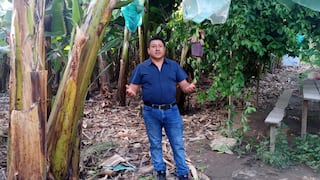 José Correa, productor: “El banano piurano llega a Europa, Asia y Estados Unidos”