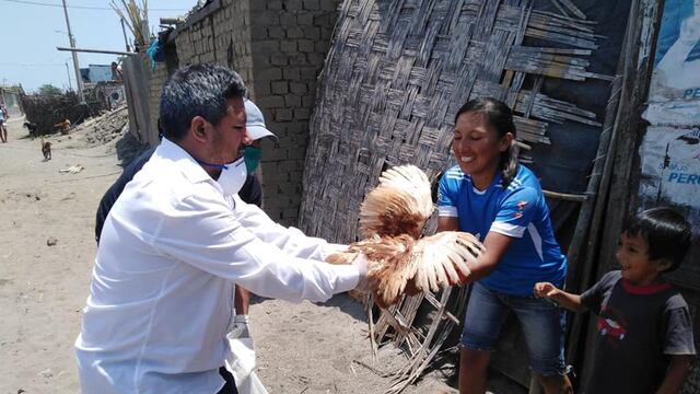 La Libertad: Alcalde de Moche entregó gallinas y huevos para personas afectadas por el aislamiento social [FOTOS]