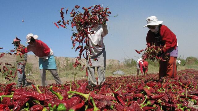 Más de 28,500 agricultores obtuvieron préstamo de Agrobanco por primera vez
