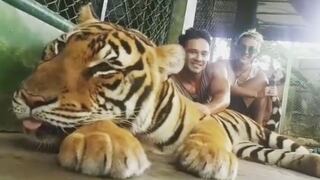 Paula Ávila posa con tigre dopado en Tailandia y desata la furia de los usuarios [FOTOS Y VIDEO]