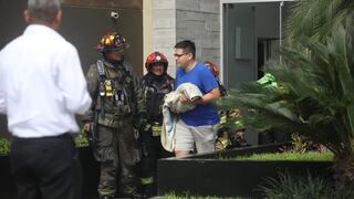 ¡Lamentable! Perrito muere en incendio en un edificio de Barranco [VIDEO]