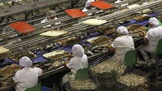 Exportación pesquera cayó 3.6% en 2012
