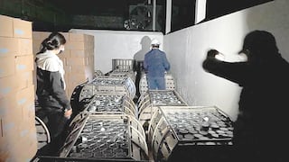 Sanipes incautó más de cinco toneladas de conservas de pescado procesadas sin autorización sanitaria