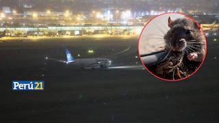 Insólito: Corpac sospecha que roedores causaron apagón en aeropuerto Jorge Chávez
