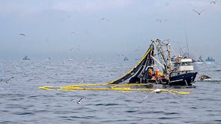 Gremio pesquero se enfoca en recuperación y reutilización de residuos y energías propias de la industria