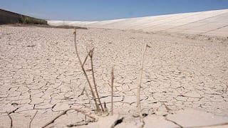 Perú: Estiman que Ley de Cambio Climático sería aprobada antes de la COP20