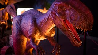 Últimas fechas para ver a los dinosaurios robotizados en Plaza Norte