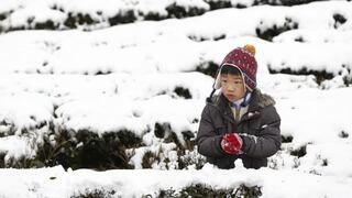 Bajas temperaturas en Asia alcanzan niveles históricos y deja al menos 91 muertos [Fotos]