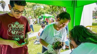 Municipalidad de Surquillo realizará campaña veterinaria gratuitaeste sábado 13 de abril