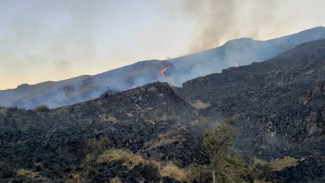 Apurímac: bomberos intentan controlar incendio forestal en Santuario Nacional de Ampay | FOTOS