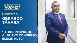 Gerardo Távara: “La mayoría no reúne los requisitos para ser del TC”