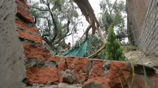 Una persona herida tras fuertes vientos en Arequipa