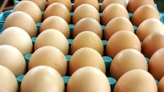 Ingresan 3.6 millones de huevos de contrabando a la semana