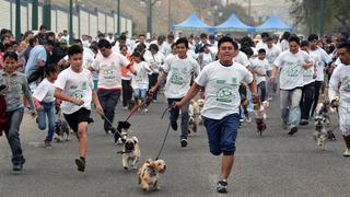 Ventanilla: Más de 500 canes corrieron en tercera 'perrotón'