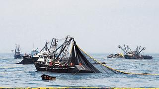 Anchoveta: segunda temporada de pesca genera más de US$1,000 millones