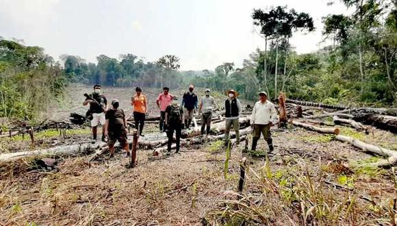 San Martín: Detectan que actividades agrícolas provocaron deforestación de seis hectáreas de bosques (Foto: Ministerio Público)