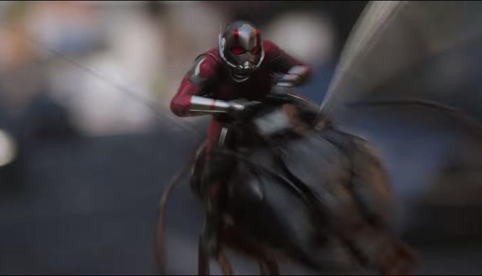 'Ant -Man and The Wasp'