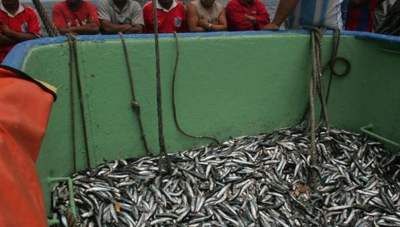 Pescadores se vieron afectados por Decreto 005. (Ernesto Arias)