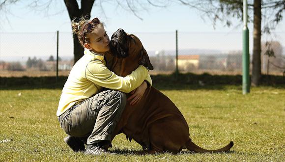 Salud21: Cómo convivir con su mascota y con alergia. (Pixabay)