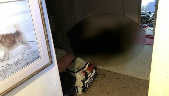 Los dueños de la vivienda encontraron descansando al "ladrón" que pensaron se había metido a su hogar. (Foto: CBS Denver en YouTube)
