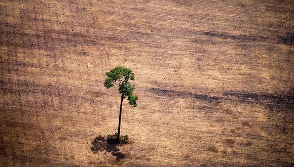 El incendio en la Amazonía provocaría graves consecuencias en el medioambiente. (Foto: AFP/archivo)
