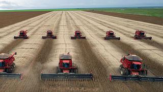 China compra 2 millones de toneladas de soja estadounidense para facilitar negociaciones