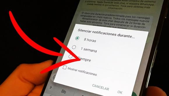 ¿Quieres saber si te silenciaron en WhatsApp? Usa este sencillo truco y conócelo ahora mismo. (Foto: Peru21)