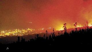 Tacna: Gran incendio afecta a humedales de Ite