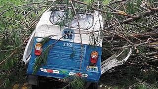 Mototaxista muere aplastado al caer un árbol sobre su vehículo en Pasco