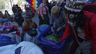 Bolivia: cocaleros dan ultimátum al Gobierno para que avale mercado paralelo