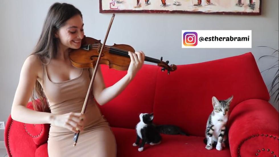 Una joven violinista logró 'conquistar' a un gato. El video asombró a los usuarios de Facebook. (Captura)