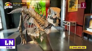 Francia: Esqueleto de dinosaurio será subastado por medio millón de euros