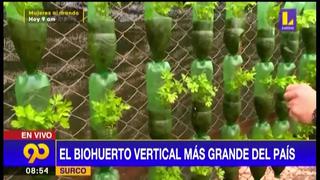 Conoce el biohuerto vertical más grande del Perú hecho con botellas recicladas