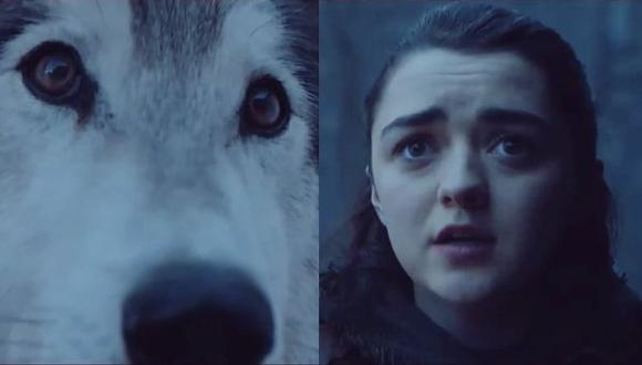 'Game of Thrones': El encuentro de Arya y Nymeria que todos los fans estaban esperando. (HBO)