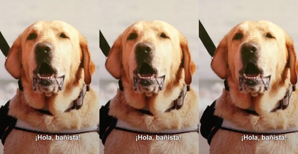 Estos son los consejos de perro de salvataje de la Policía Nacional del Perú. (Facebook Ministerio del Interior)