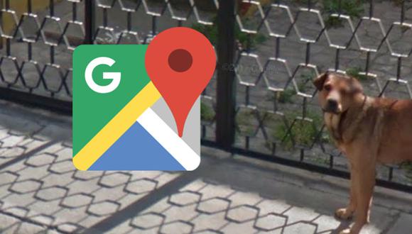 No creerás lo que hacía Firulais cuando el carro de Google Maps pasó su calle. Detalle se ha convertido en viral. (Foto: Google)