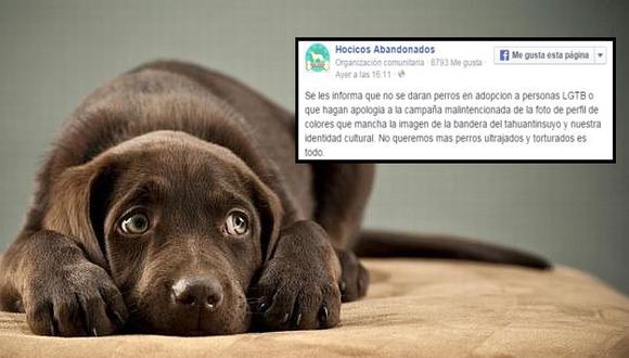 Grupo animalista niega adopción de mascotas a comunidad LGBT y generó  gran rechazo en Facebook. (USI)