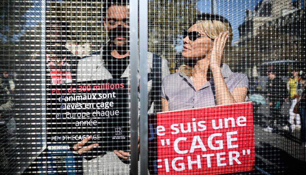 Pamela Anderson se enceró en una jaula en París para denunciar el maltrato contra animales. (Foto: AFP)