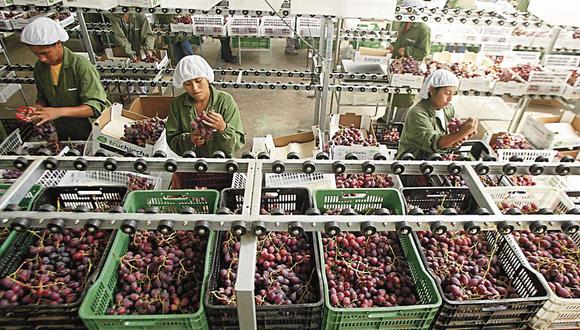 El producto más demandado por el mercado asiático fue la uva fresca. (Foto: GEC)