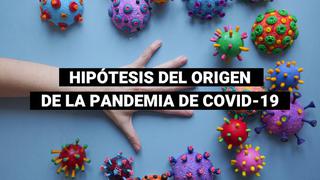 Cuatro teorías sobre el origen del coronavirus