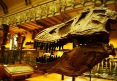 ¡Sorprendente! Esta sería la explicación para los misteriosos orificios del cráneo del ‘Tyrannosaurus rex’