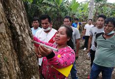 Guías del Bosque capacitaron a 250 miembros de comunidades nativas en manejo forestal
