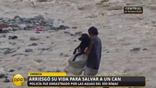 Chosica: Policía fue arrastrado por el río Rímac al intentar rescatar a un perro [Video]