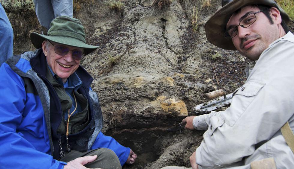 En 2012, el estadounidense Robert DePalma comenzó a buscar en un sitio perdido llamado Tanis de Dakota del Norte, una gran área conocida por los cazadores de dinosaurios en la formación Hell Creek. (Fotos: AFP)