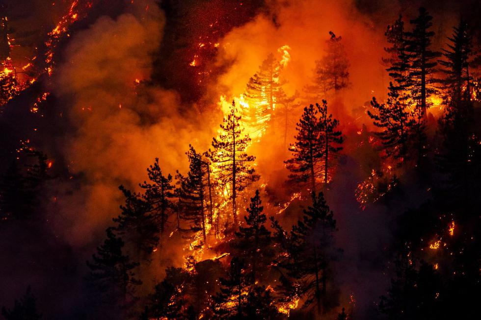 Un incendio avanza en los bosques del Bosque Nacional Los Ángeles al norte de Monrovia, California (Estados Unidos). (EFE/EPA/ETIENNE LAURENT).