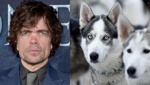 Actor Peter Dinklagede pide que no compren perros husky (Getty Images)
