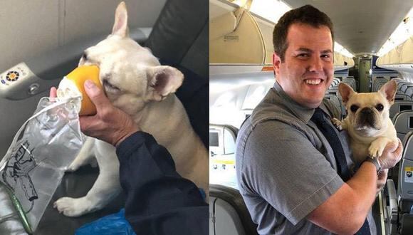 Las aerolíneas suelen ser muy estrictas a la hora de mantener a las mascotas debajo de los asientos, pero lo ocurrido en esta historia llevó a los trabajadores a romper todas las reglas. (Foto: Facebook)