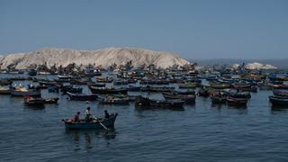 Cocineros solicitan aprobación de ley que protege a pescadores artesanales y mar peruano