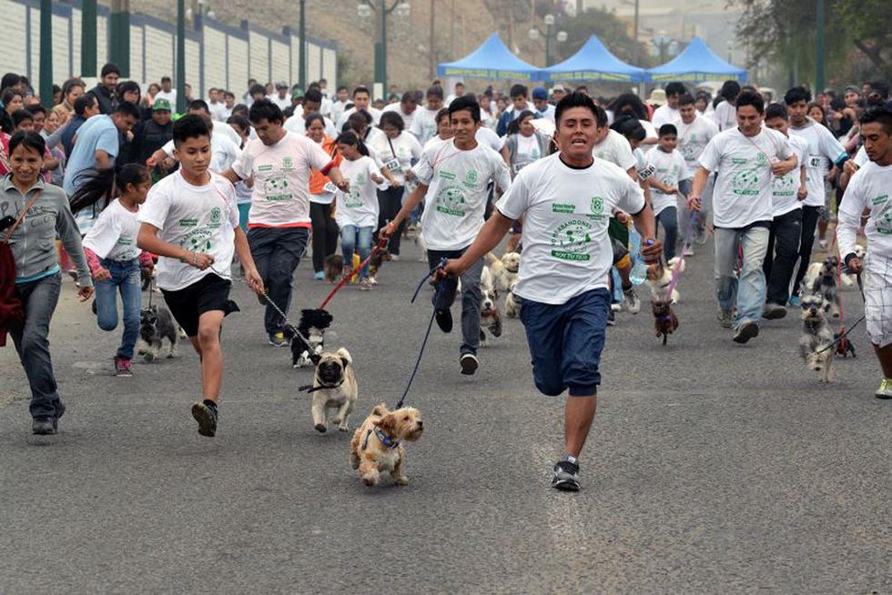 Ventanilla: Más de 500 canes corrieron en tercera 'perrotón' (Difusión)