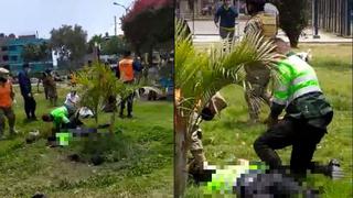 Callao: policía se encuentra en estado de coma tras recibir golpiza en intervención a sujetos que jugaban fulbito en parque